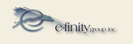 e-finitygroup inc.